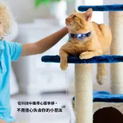 (店+)買一送一 新款蘋果Airtag追蹤器保護套防失蹤寵物定位頸圈貓咪反光鈴铛項圈