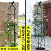 花架爬藤架月季藤架架子鐵線 線蓮薔薇花葡萄花園戶外庭院陽臺支架