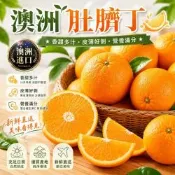 【天天果園】嚴選澳洲進口肚臍丁4kg