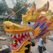 廠家直銷舞龍舞獅道具耍龍燈國標竟技玻璃鋼材質舞龍頭道具