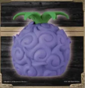 風之谷玩具 航海王 海賊王 惡魔果實 暗暗果實 黑暗果實 日版 金證 LED 發光 可當 夜燈