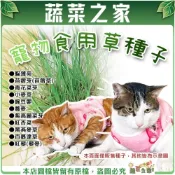 (店+)【蔬菜之家】寵物食用草系列種子│貓草 生菜 種子 苜蓿草 黑麥草 黑燕麥 小麥草 百慕達草 豌豆嬰 牧草