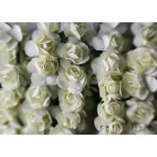 ５號雜貨屋＊(現貨 01~白色)迷你玫瑰花 紙花 1束12朵20元 娃娃配件 DIY娃屋 芭比迪士尼兵人各類娃皆可使用