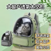 【雲渡小鋪】頂天立地貓跳臺 貓爬架 通天柱 木質貓跳臺 貓咪跳臺 貓跳臺太空艙 貓窩 貓抓板 原木貓跳臺 大型貓跳臺