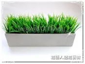 ◎花語人造花資材◎＊皇龍草長型盆＊盆栽~辦公室裝飾~造景美化~櫥窗