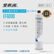 EVERPURE愛惠浦 EF6000碳纖活性碳濾芯(DIY更換)