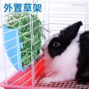 牧草架 牧草盒 兔子牧草架 飼料架 兔子草架 草架 豚鼠食盒龍貓荷蘭豬大容量懸掛架外置草架兔草架防漏草架兔子食盆
