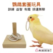 鸚鵡套圈玩具 益智玩具 套圈圈 套環 鳥類 虎皮牡丹小太陽玄鳳和尚 小鳥玩具 鸚鵡玩具 寵物用品 典贊創意 鳥原木玩具