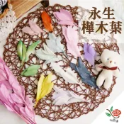 (店+)永生樺木葉 富貴葉 極度花燥 花材 葉材 永生花 乾燥花 不凋花 樺木葉 彩色 畢業季 畢業 七夕 情人節