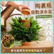 ✨鼎盛精選✨陶裏瓶自動滲水盆吸水花盆 懶人花盆 網紅苔蘚陶柱瓶 樹狀培養基雨林植物蕨類種植盆 雨林植物栽培盆 培養基花器