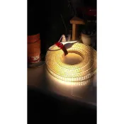 〈極速出貨〉 5米燈條 5730 240珠 LED 露營 條燈 軟燈條 5米 客廳帳 天幕