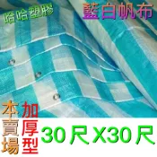 厚30尺*30尺 藍白帆布防塵帆布 防水帆布 防潮帆布 塑膠帆布 工地帆布 油漆帆布 加厚藍白帆布 哈哈塑膠