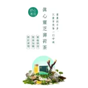 (店+)靈芝草人 真心靈芝薄荷茶 ( 10入經濟包--無紙盒包裝 ) 附提袋