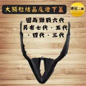 🏆【連冠二輪】大顆粒 結晶尾燈下蓋 七代 六代 五代 四代 三代勁戰 7代下巴 6代 水冷Bws 皺紋 皺摺 皮卡防刮漆