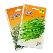 1021缺0M【EZ410】翠筠 蔬菜種子 菜種子 花種子 種菜 苗種子 菠菜 甘藍 北蔥 四季豆 蘿蔔 草莓