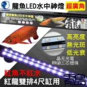 【青島水族】USB 4尺 120cm 台灣泡泡龍-LED水中燈 增豔超廣角=單排、雙排/紅龍、銀龍、金龍、血鸚鵡