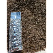 新鮮高山茶枝 四季春茶枝 生茶枝 熟茶枝 黑茶枝 烘焙茶枝 大壺茶-超商限6斤-