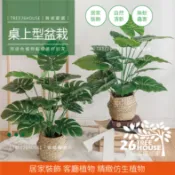 高CP值盆栽😇擬真植物😇北歐植物 客廳植物 假樹 仿真綠植 龜背葉 旅人蕉 綠植 假花 裝飾盆栽 桌面 擺設植栽 盆栽