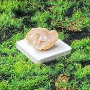 招財開運8 可愛貝殼形狀瑪瑙白晶洞 療癒 開運 旺財運 旺事業