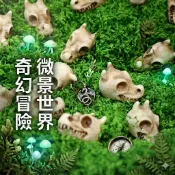 龍之骨【龍之骨X松菓先生】微景觀 生態瓶 橢圓石板 龍之谷 造景石 造景缸 苔蘚 石頭 小石頭 苔蘚瓶