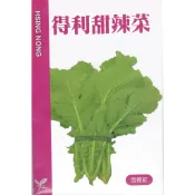 【隔日到貨】 甜辣菜 (得利．雪裡紅) 【芥菜類種子】興農牌中包裝 每包約4公克