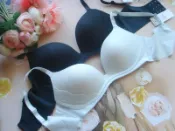 2色🎉蕾黛絲 內衣💖34C/75C,36B/80B,36D/80D 舒芙蕾 無鋼圈 無痕挺素面 下厚上薄襯墊