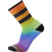 [全新正品] SmartWool Athletic Pride Rainbow 機能羊毛襪(S)(M)