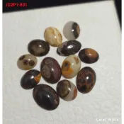 🌟Coral珊寶手作-天然澎湖文石蛋面裸石 10.7-15.4mm JD2P1-831