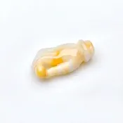 【掌上明珠】飄黃翡翡翠佛手項鍊 | 天然緬甸玉翡翠A貨 | 送禮