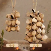 臺灣優選 全網爆紅印尼果殼果實鈴鐺小衆伴奏風鈴搖鈴串鈴音療音束療愈瑜伽樂器