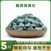 綠沸石顆粒 多肉鋪麵石 園藝土壤改良基質盆栽裝飾 天然綠色 小石頭子 GO9L