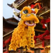 舞獅道俱全套南獅醒獅舞龍舞獅服裝雙人羊毛獅子專業瑞獅鳴朝獅頭 1023