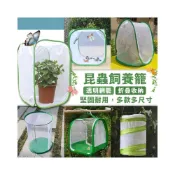 (店+)昆蟲飼養箱 昆蟲觀察盒 昆蟲箱 昆蟲盒 竹節蟲 毛毛蟲 昆蟲網籠 蝴蝶 獨角仙 葉脩 螳螂 鍬形蟲