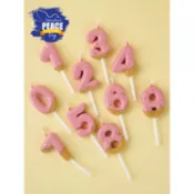 💘痘痘媽雜貨大批發💘卡通復古粉色巧克力淋麵餅乾造型0-9數字蠟燭生日蛋糕裝飾插件