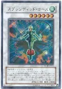 (Good.Run) TSHD-JP043 華麗薔薇 (日文金亮)