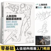 人體結構插畫基礎教程 藝用動態解剖 動漫描摹本素描速寫手繪臨摹【文墨閣】