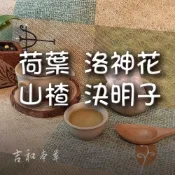 (店+)荷葉 洛神花 山楂 決明子，9g*10小包 (吉和本草)