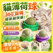 現貨隔日達🌟旋轉貓薄荷球 逗貓球 貓零食 貓薄荷球 逗貓神器 貓草球 貓放鬆 貓磨牙 潔牙棒 貓薄荷 貓零食 去毛球