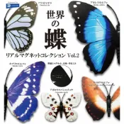 (店+)【RainBow】正版現貨 世界的蝶 擬真版 Vol.2 蝴蝶 閃蝶 立體公仔 扭蛋 轉蛋 微縮模型 迷你模型