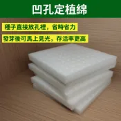 【​魔豆水耕】凹孔定植棉 | 好放種子 易撕 | 水耕海綿 育苗海綿 水培介質 無土栽培 魚菜共生 耗材