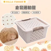 柑仔牧場探險🍊｜ 小寵運輸盒 倉鼠運輸籠 透氣整理箱 倉鼠用品 倉鼠外出籠 打孔運輸盒 黃金鼠/三線鼠外出籠 倉鼠籠