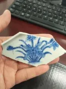 道光 超細路 一葉青蓮 瓷媥 標本～-67962