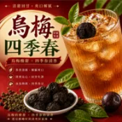 烏梅四季春 烏梅茶 四季春茶 茶包  冷泡茶 冰泡茶 青茶 烏龍茶 茶飲 酸甜 清香 回甘 果香 台灣製 日常茶飲