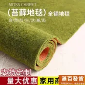 苔蘚地毯 防滑吸水地毯 可裁剪客製尺寸 家用地毯 辦公室地毯假草坪地毯地墊鋪墊陽台地毯 吸水耐髒加厚隔音地墊