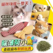 【耐磨耐抓】寶貝的小魚棉麻貓玩具 21x9cm 內含貓薄荷 貓咪磨爪咬咬玩具 仿真小魚 寵物發洩玩具【現貨】