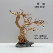 *🔥臺中🔥魚缸造景成品莫斯樹沈木骨架大榕樹根巴西樹迎客松杜鵑根壹木成景69