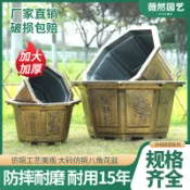 ✨丨臺灣熱賣🎉 塑料花盆特大庭院種植鐵樹盆景大花盆大碼加厚龍缸荷花盆無孔 FWGI