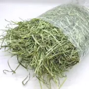 澳洲優質甜燕麥草 提摩西頭茬 苜蓿 甜小麥草 百慕達草 高纖磨牙 葉多梗細 香氣濃郁 適口性極佳 兔子 龍貓