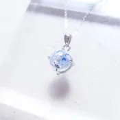 寵物毛毛 骨灰 胎毛 乳牙等 純銀項鍊或鑰匙圈
