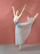 宜家二居 小茉莉芭蕾舞裙半透長紗裙雙層半身裙成人女舞蹈服練功服飄逸超美廣場拉丁舞鞋現貨舞蹈鞋排